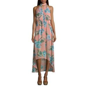 Renn Sleeveless Floral Maxi Dress in Blush Print New With Tags Size Small
